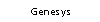 Learn about the advanced functions of our GeneSys 3 software, unique in the human resource testing industry for its power and scope.